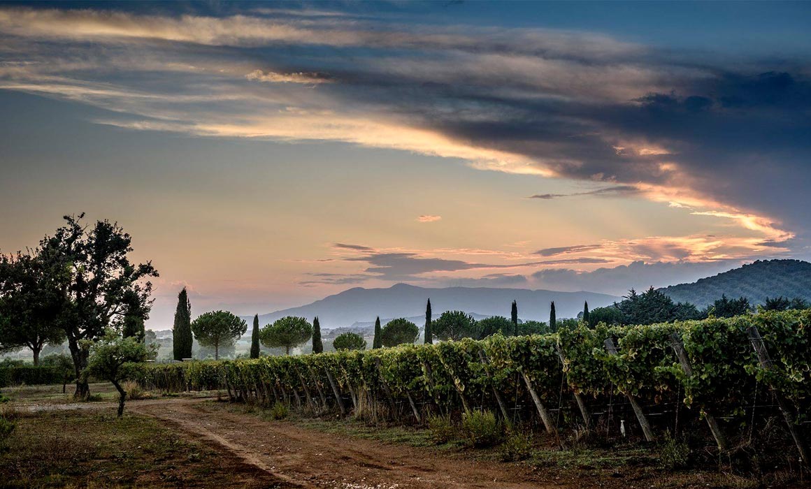 Tenuta Monteverro